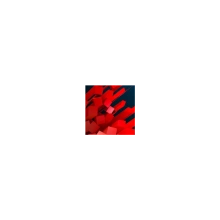 🚀 Lost Echo Android Play Market Google Play